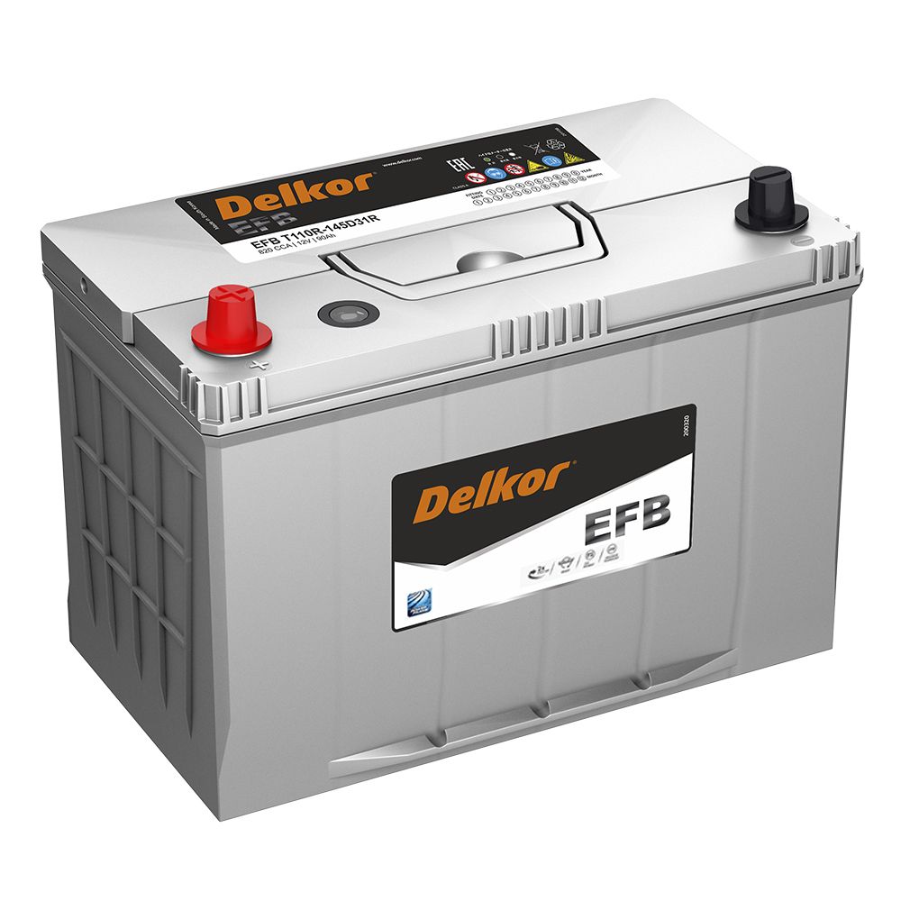 Аккумуляторы DELKOR DELKOR EFB 145D31R купить 8 906 062 07 78