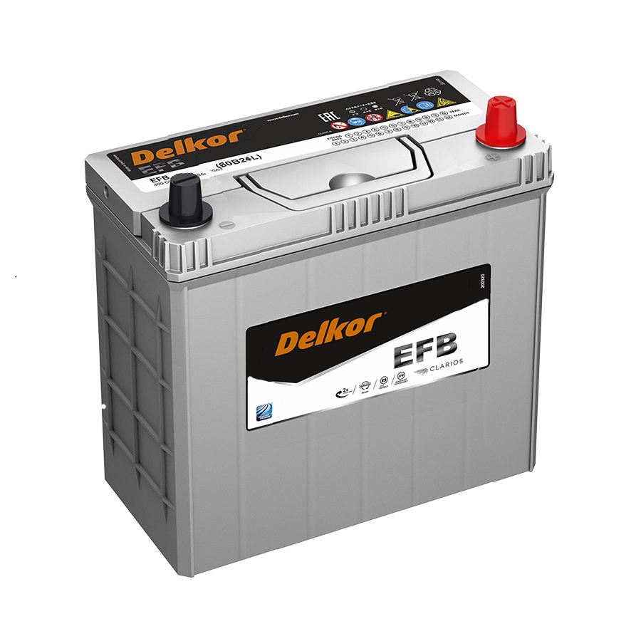 Аккумуляторы DELKOR DELKOR EFB 80B24L купить 8 906 062 07 78