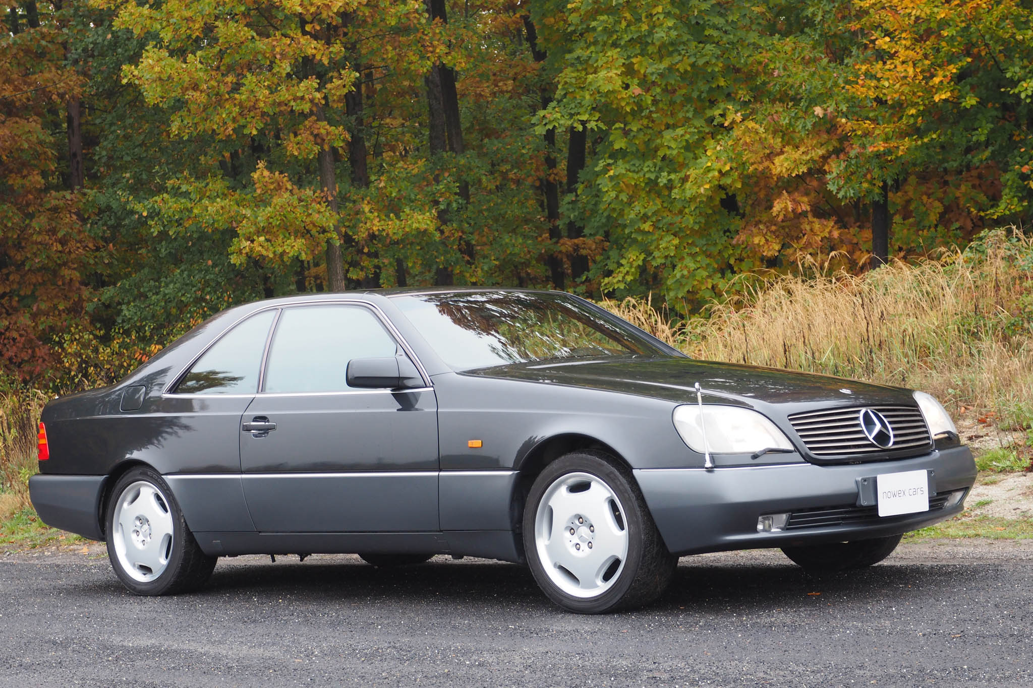 Подбор аккумулятора S-CLASS Coupe C140 в магазине 8 926 257-4321