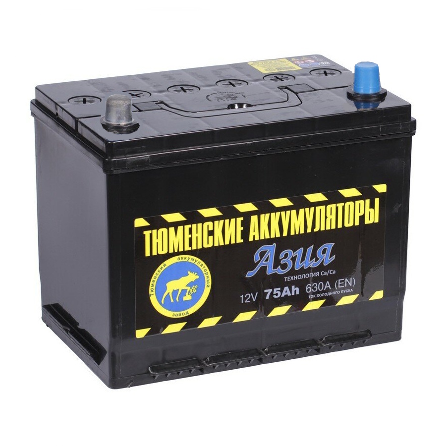 Аккумуляторы Тюмень ТЮМЕНЬ Asia D26R 6CT-75.1 купить 8 906 062 07 78